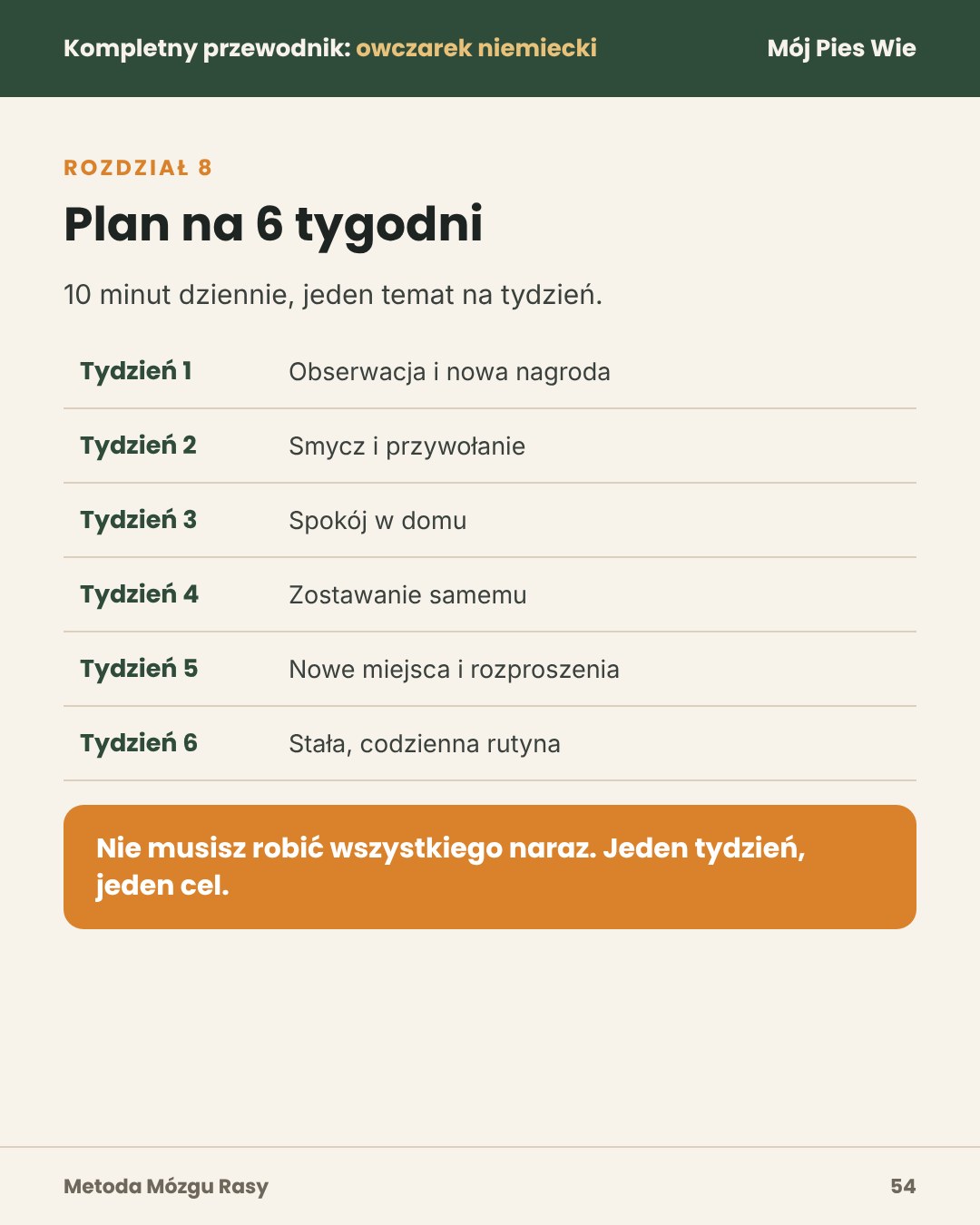 Przykładowa strona 2
